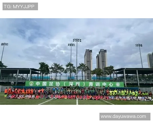 深圳足球队实力强劲荣登全国第四名引发关注与期待